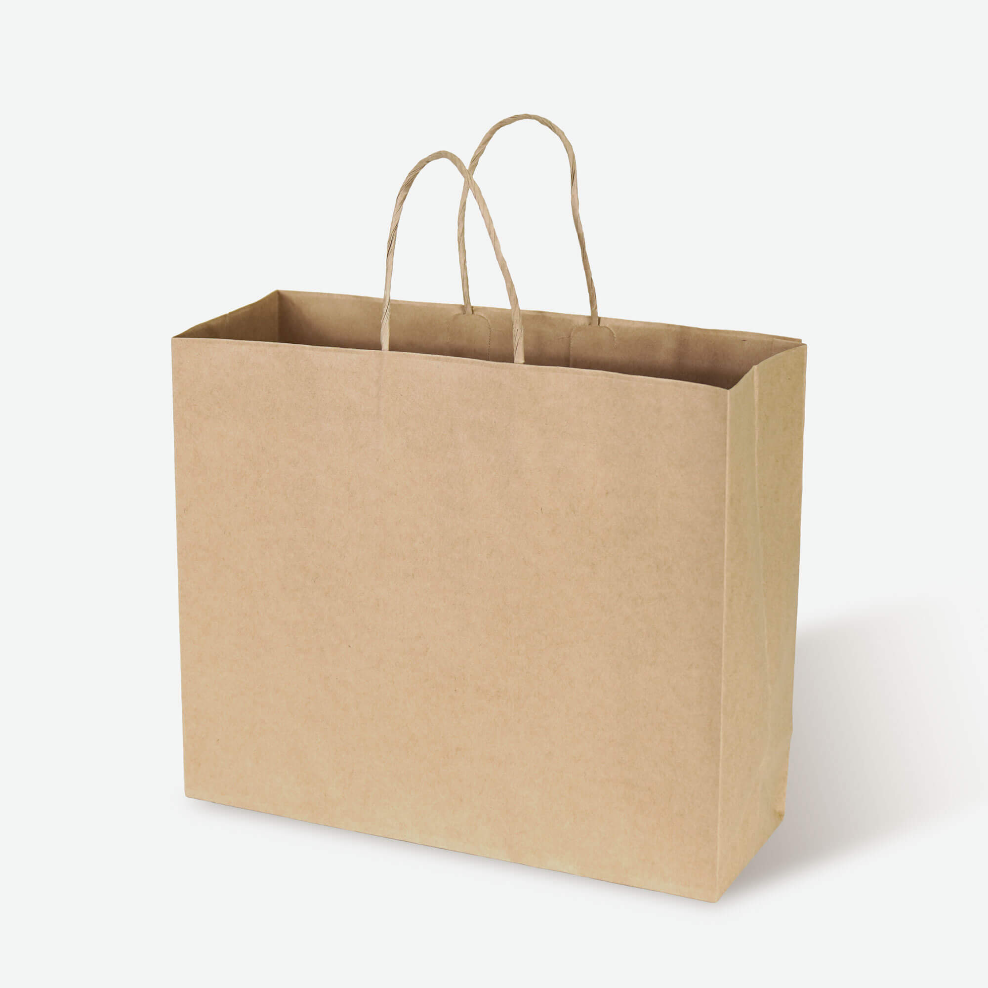 Natural Kraft Boutique Shopping Bag with Twisted Paper Handles - image 1