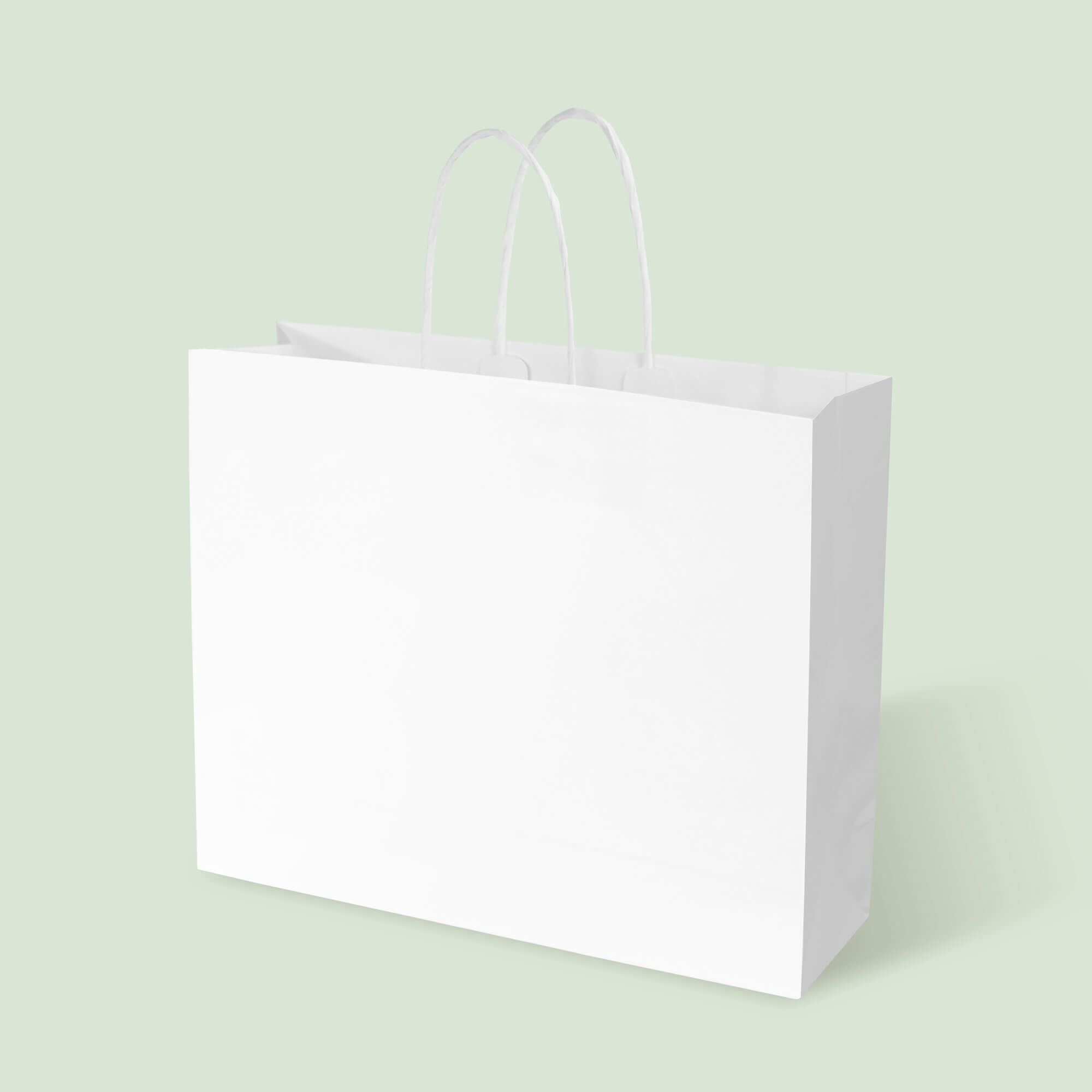 White Kraft Boutique Shopping Bag with White Twisted Handles - image 1