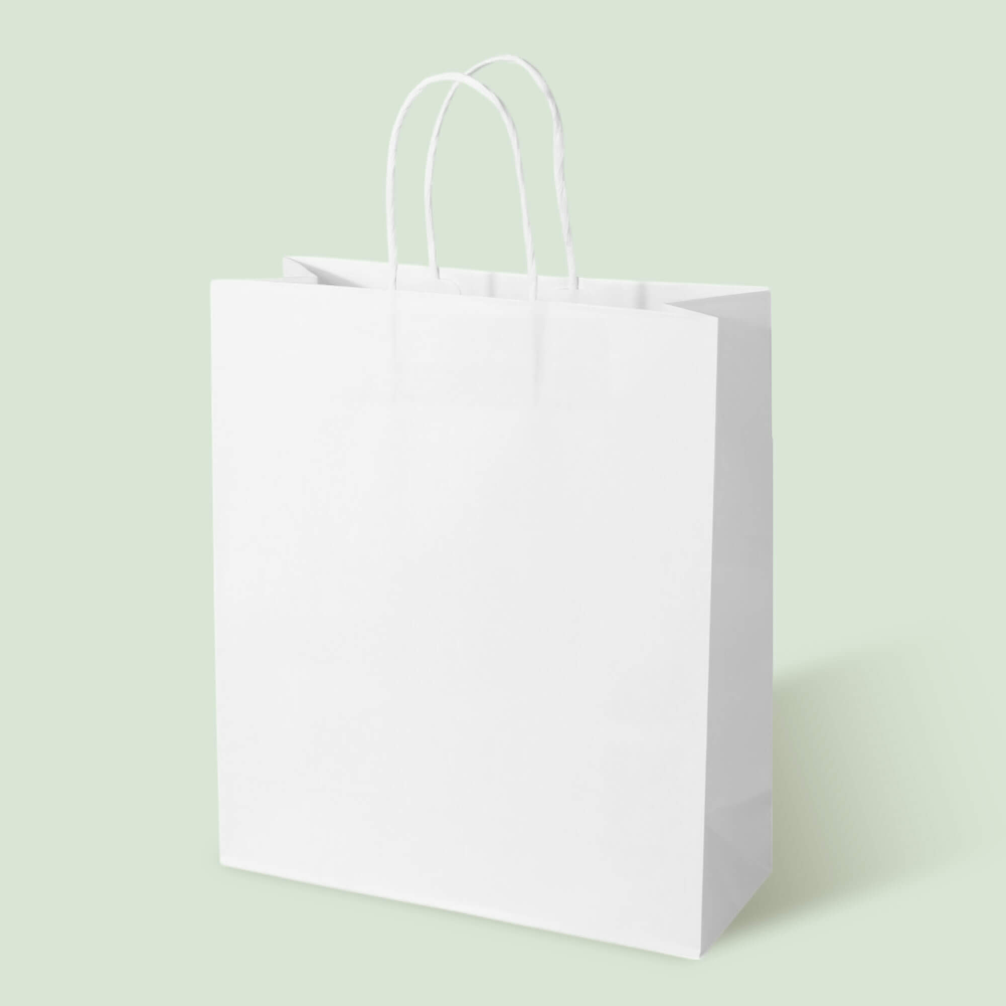 White Kraft Tall Boutique Shopping Bag with White Twisted Handles - image 1