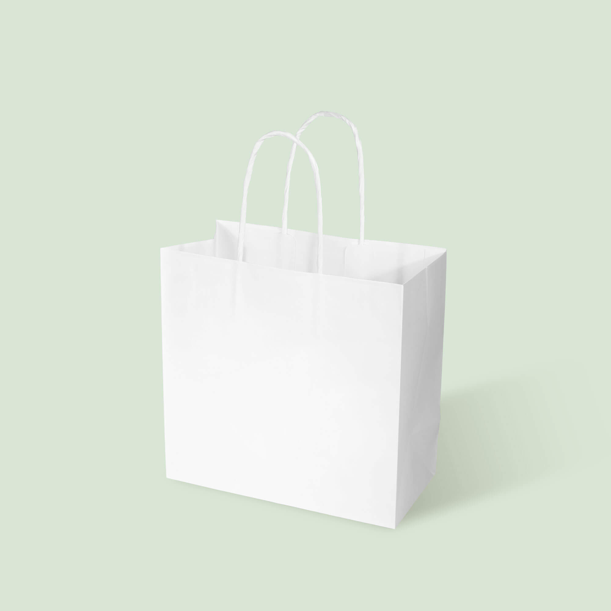 White Kraft 2-Cup Coffee Carry Bag with White Twisted Handles - image 1
