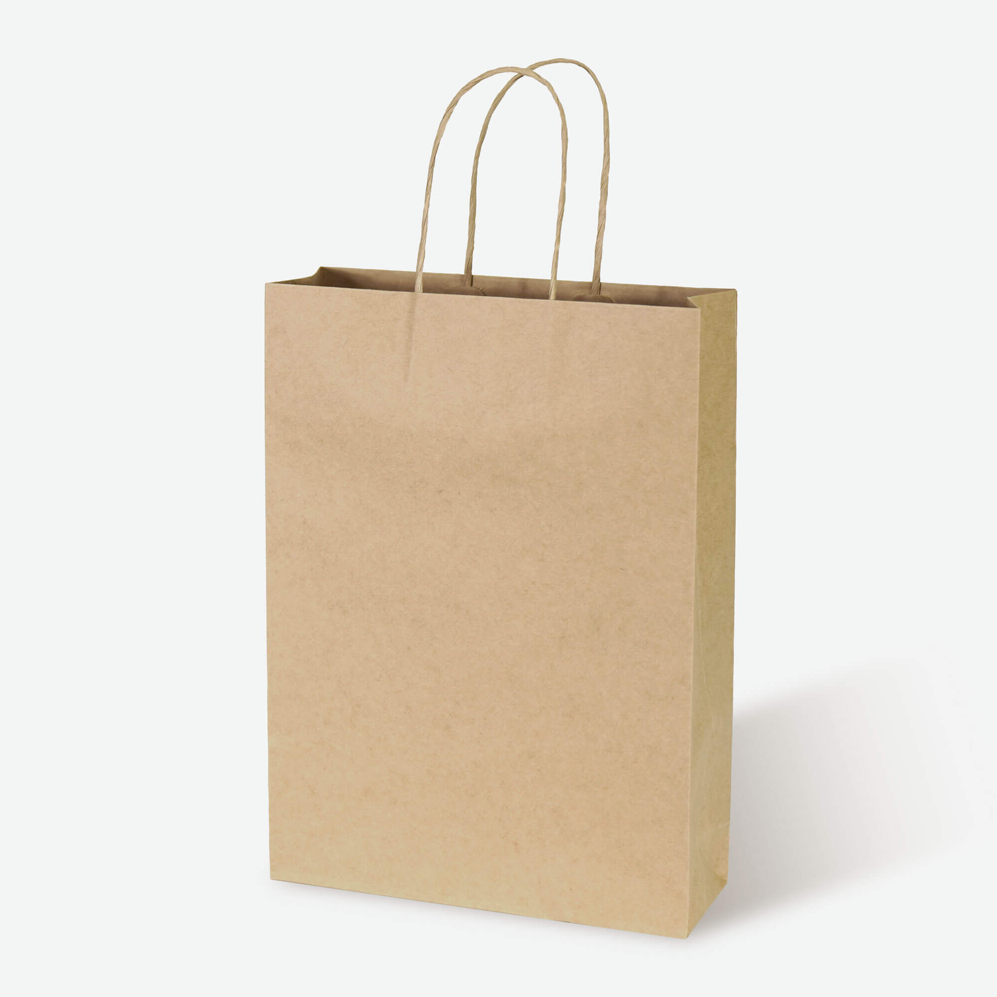 Natural Kraft Tall Document Bag with Twisted Paper Handles - image 1