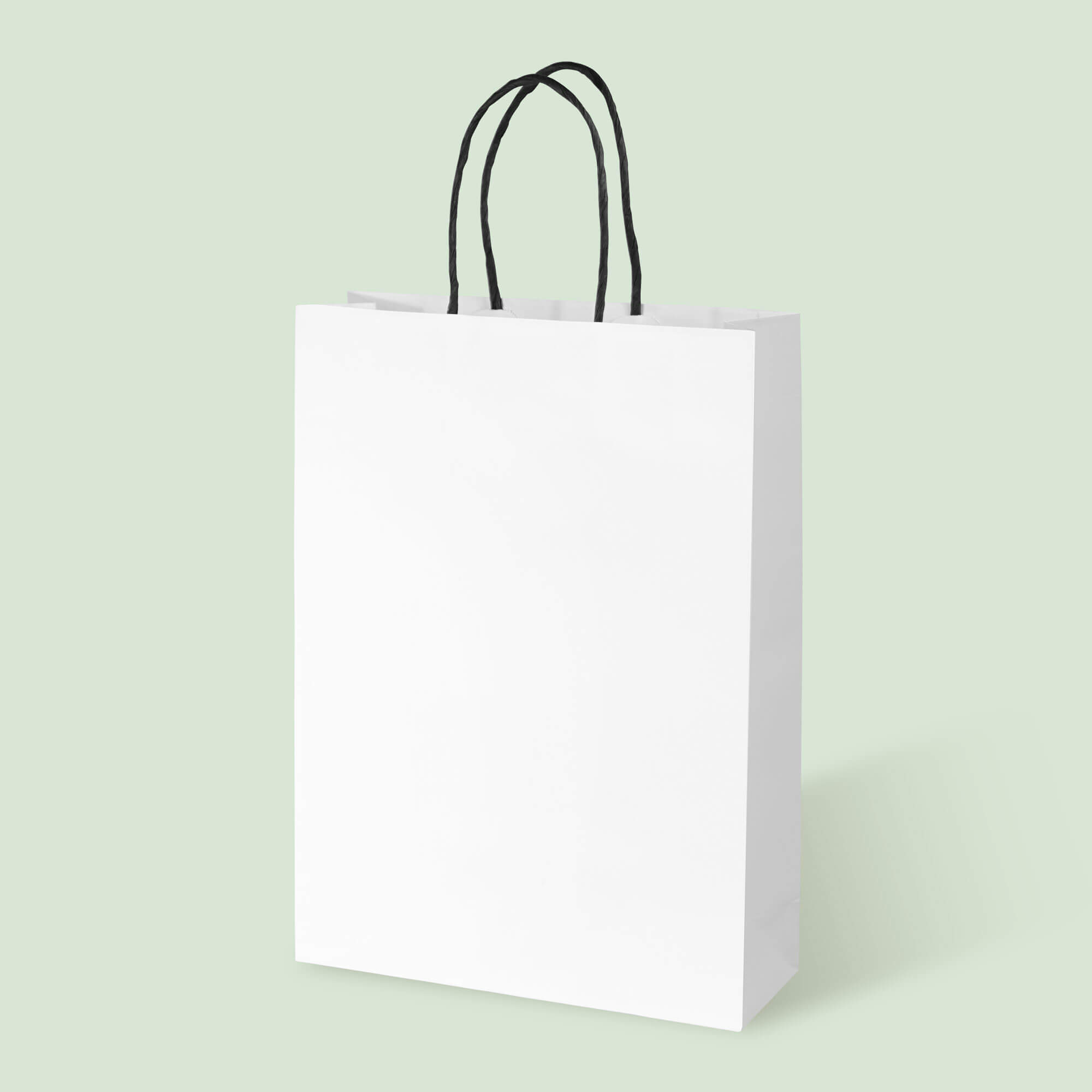 White Kraft Tall Document Bag with Black Twisted Handles - image 1