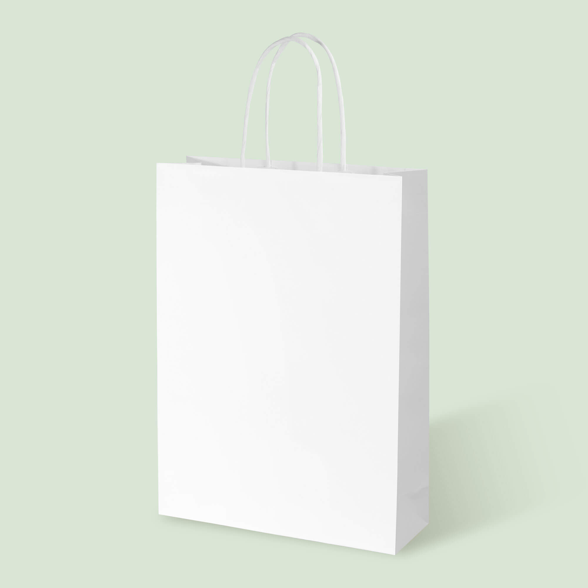 White Kraft Tall Document Bag with White Twisted Handles - image 1