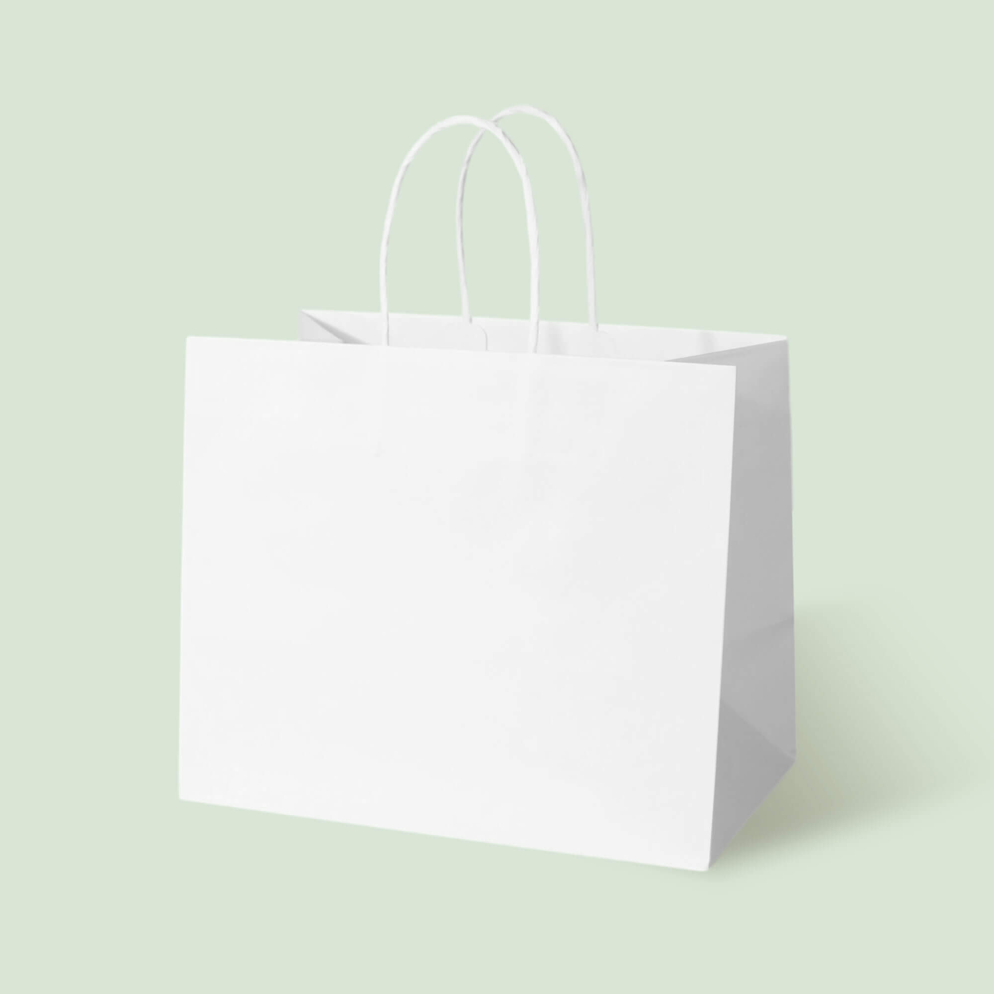White Kraft Wide-Bottom Takeout Bag with White Twisted Handles - image 1