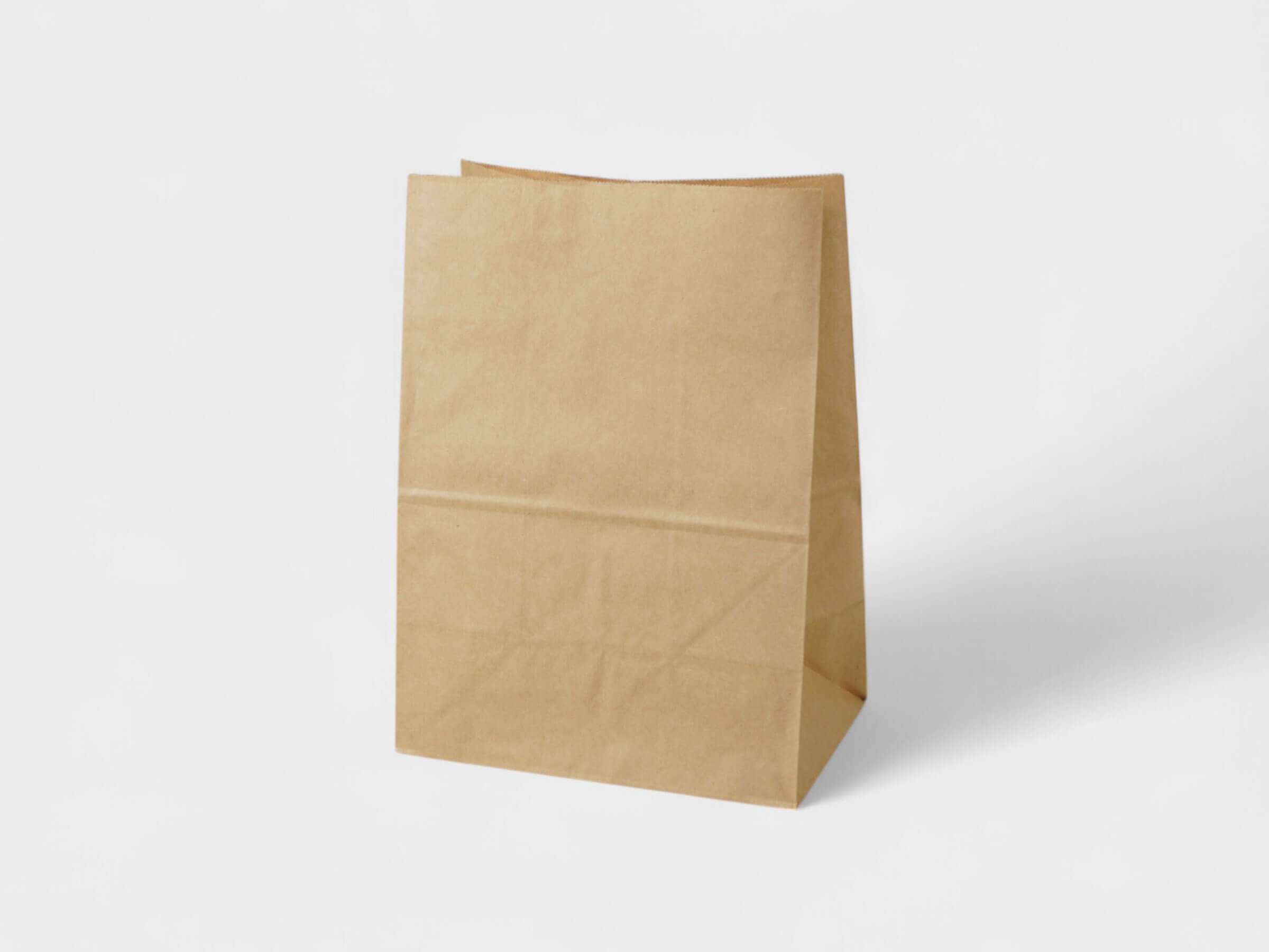 Handleless Paper Bags